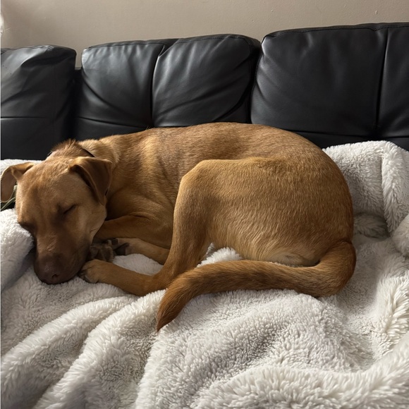 About Seaside Garments - Picture 3 of 4